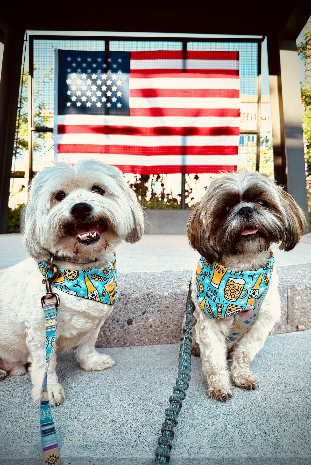 t.Freedom pet apparel detail