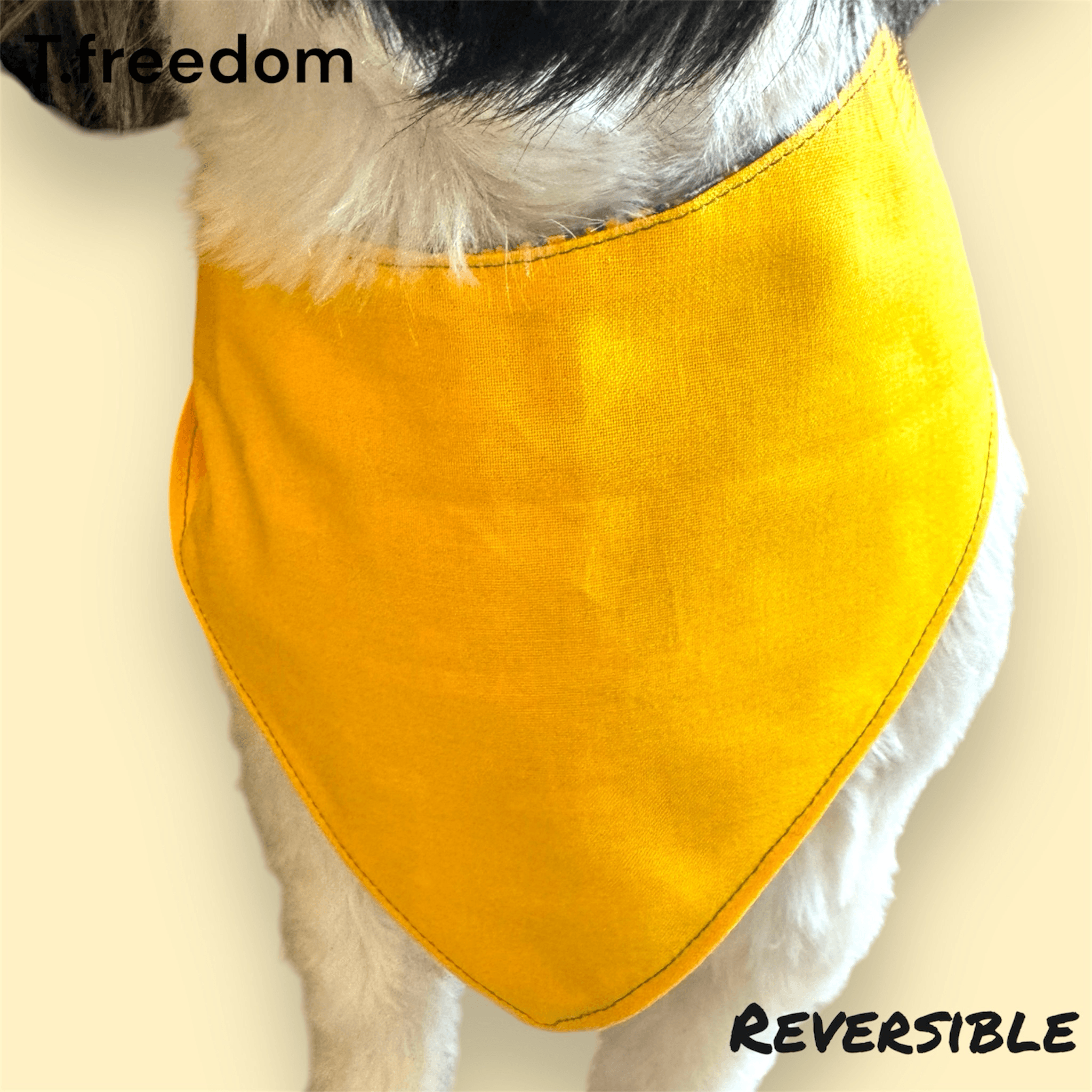 “Tailgate Tails” Packers Dog Bandana gallery image