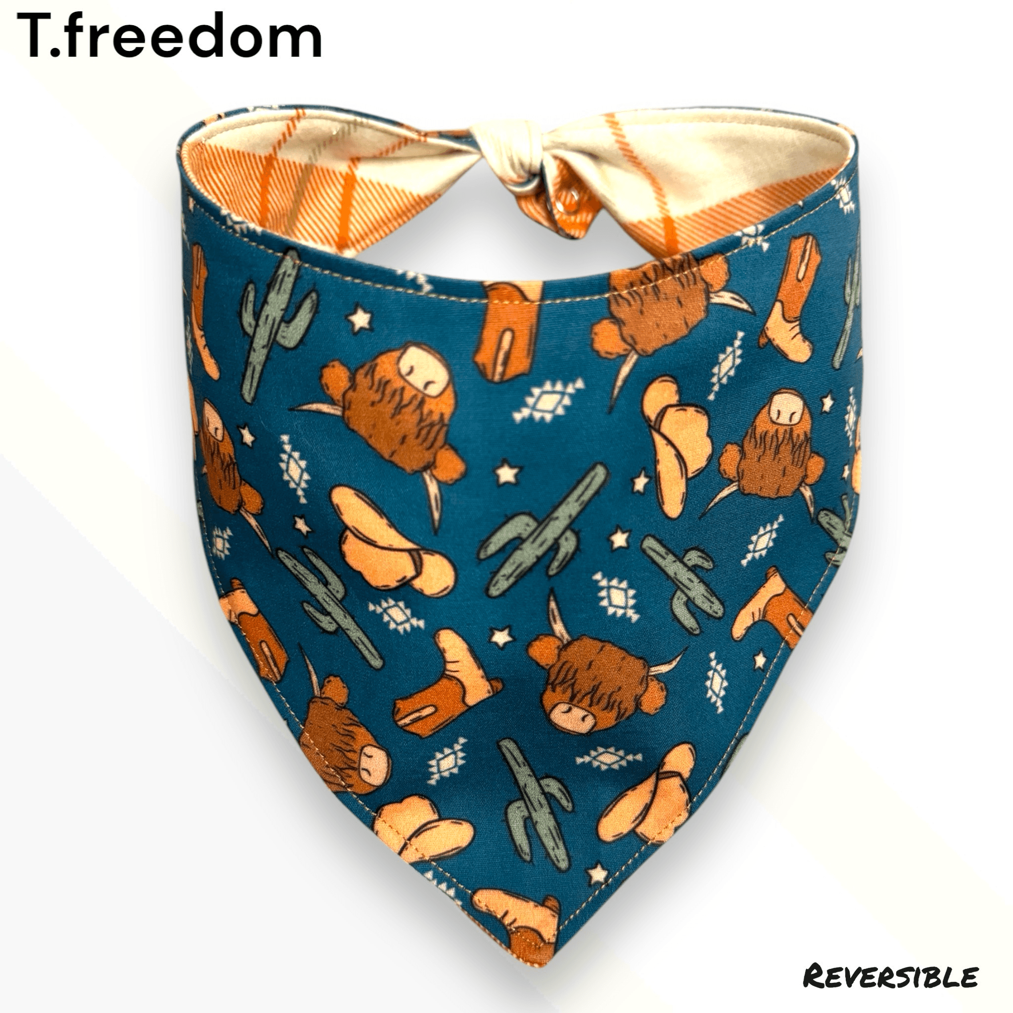 Desert Trail Adventure Dog Bandana